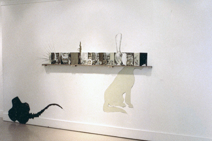 Bound, Ephemeral, Feral (2001) - mixed media installation