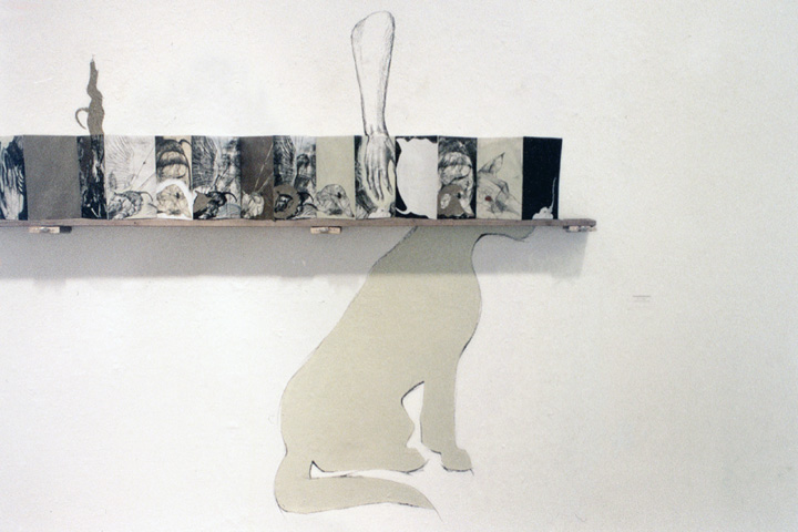 Bound, Ephemeral, Feral (2001) - mixed media installation