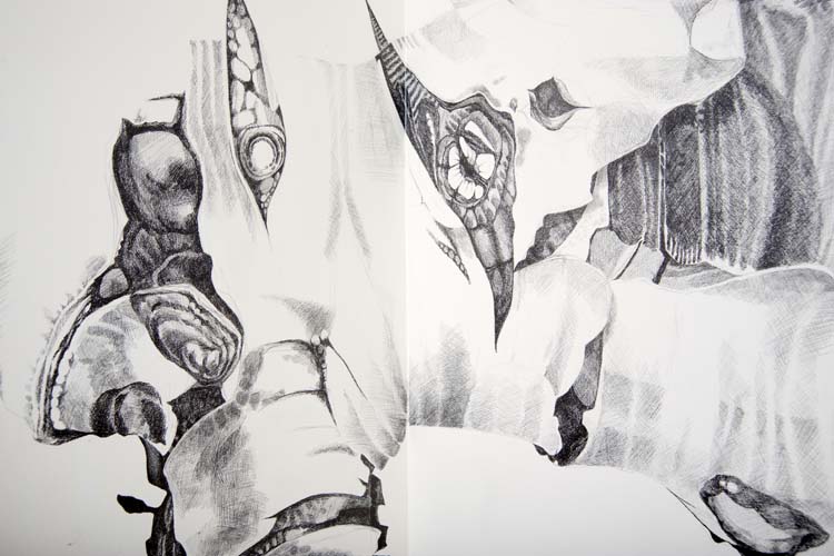 Transcribe (2009), graphite on wall