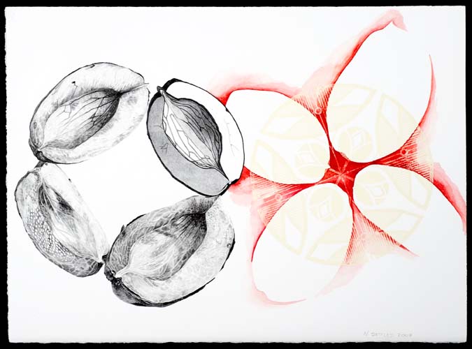 Re-Present (2008) - graphite, watercolor, and block print on paper