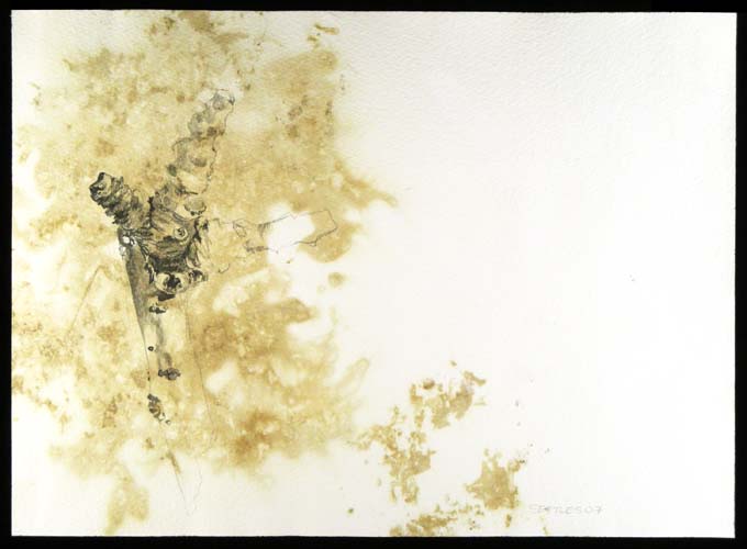 Degrade (2007) - graphite and gouache on composted paper